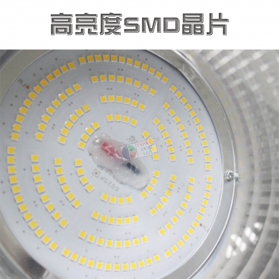 LED特斯美天井燈(黑)5